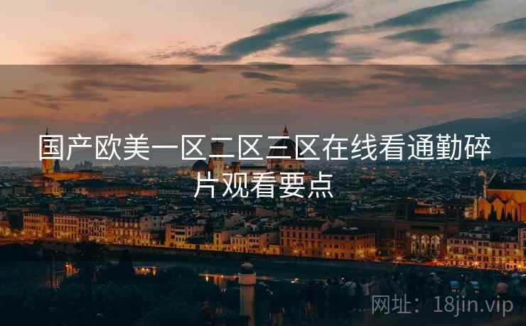 国产欧美一区二区三区在线看通勤碎片观看要点  第2张