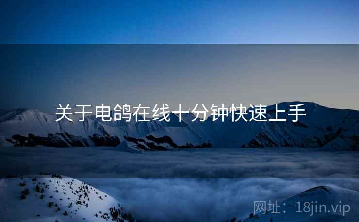 关于电鸽在线十分钟快速上手  第2张