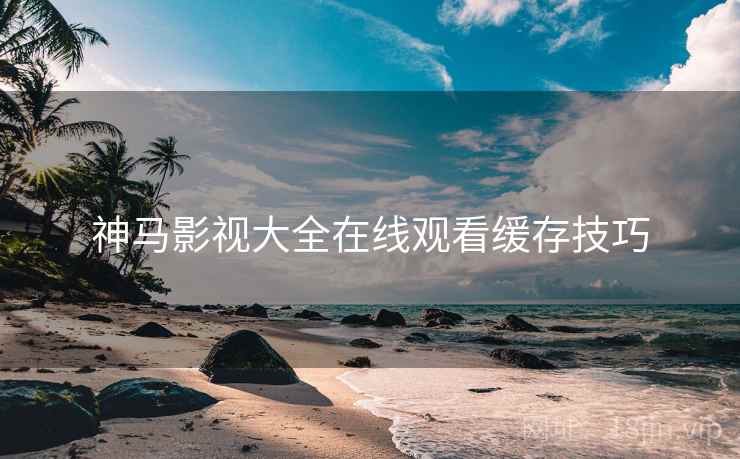 神马影视大全在线观看缓存技巧  第2张