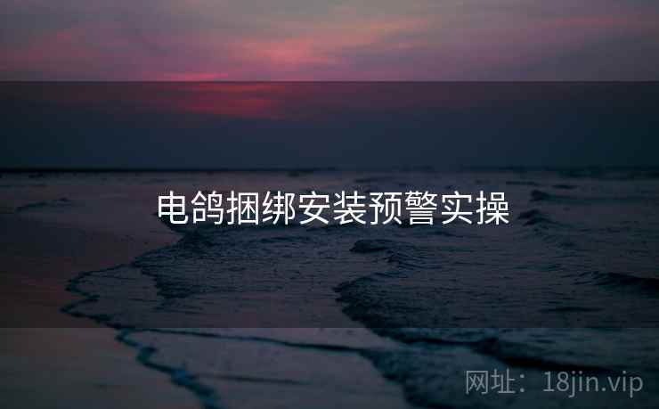 电鸽捆绑安装预警实操  第2张