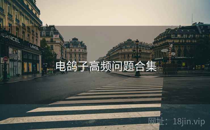 电鸽子高频问题合集  第1张