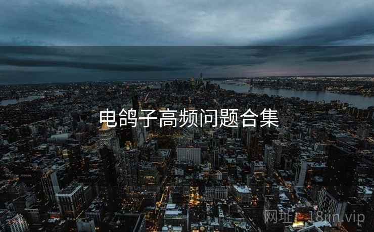 电鸽子高频问题合集  第2张