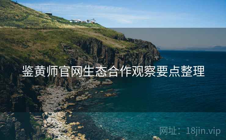 鉴黄师官网生态合作观察要点整理  第1张