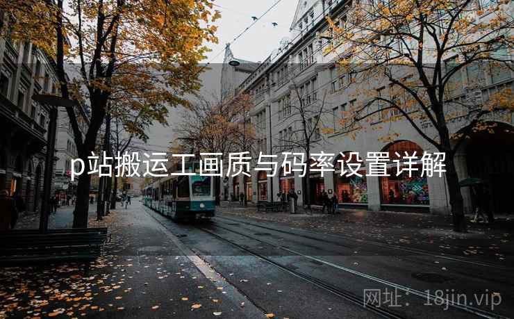 p站搬运工画质与码率设置详解  第1张