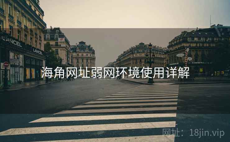 海角网址弱网环境使用详解  第1张
