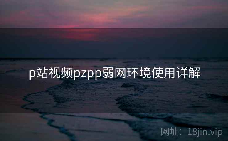 p站视频pzpp弱网环境使用详解  第1张