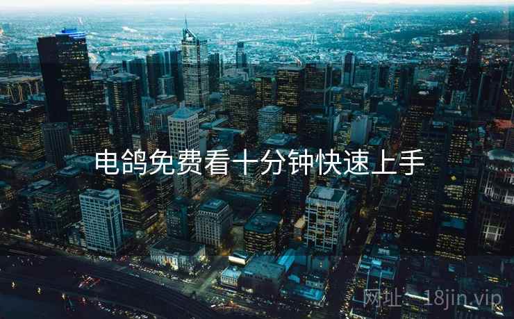 电鸽免费看十分钟快速上手  第2张