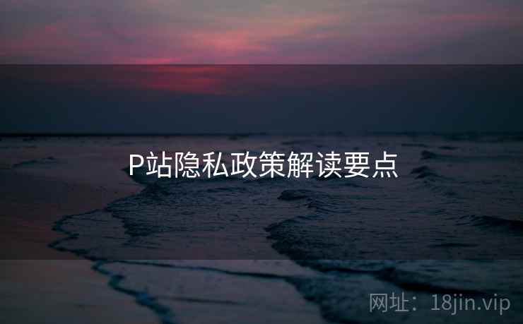 P站隐私政策解读要点 第1张 P站隐私政策解读要点 第1张