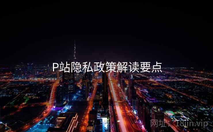 P站隐私政策解读要点 第2张 P站隐私政策解读要点 第2张
