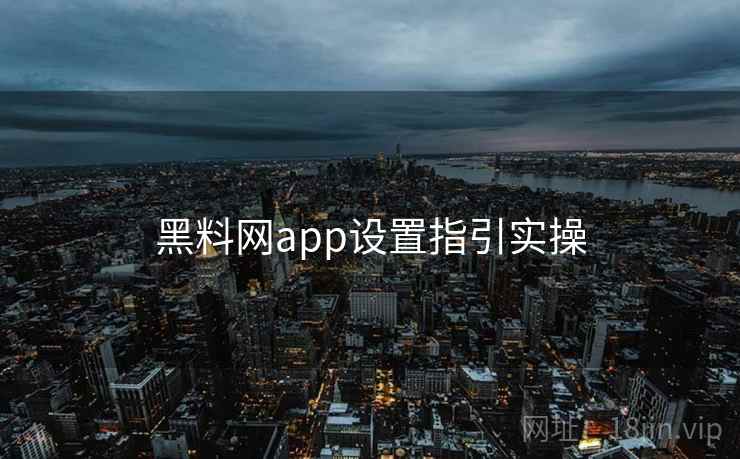 黑料网app设置指引实操  第2张